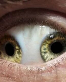 Gennady — фото 1