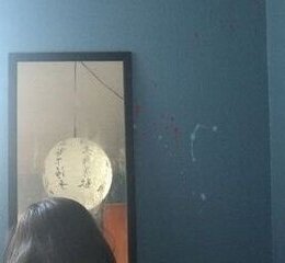 Xelen — фото 2