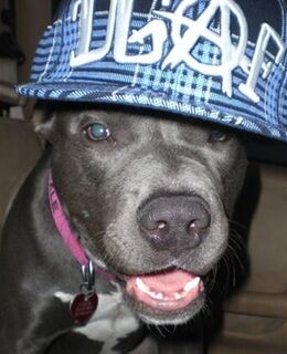 Александр Ефимов