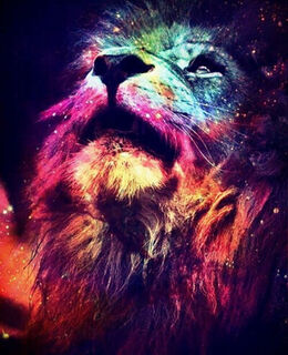 Владимир Ибрагимов — фото 1